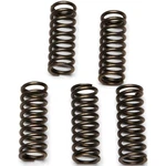 Ebc Csk Clutch Spring Kit Honda CBR1000RR Motorcycle (2004-2007) New. Price: $18.32.