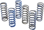 Hinson Racing CS130-6-8602 Spring Kit New. Price: $69.99.