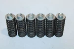 2005-2007 Suzuki RMZ450 Oem Clutch Spring Set Used. Price: $19.99.