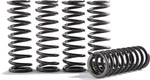 Hinson Racing Hi-temp Clutch Spring Kit CS641-6-1901 1131-4041 151-63061 New. Price: $69.99.
