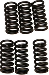 Ebc - CSK2 Clutch Kit 10% Stiffer Than Stock Springs New. Price: $17.44.