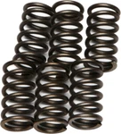 Ebc Clutch Spring Kit CSK10 New. Price: $12.33.