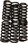 Ebc CSK6 Heavy Duty Clutch Springs New. Price: $22.29.