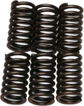 Ebc Clutch Spring Kit CSK41 New. Price: $12.94.