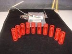 Harley Clutch Spring Set Flh Electra 68-84 Fx Super Glide Red V-twin 13-0789 H1 New. Price: $40.39.
