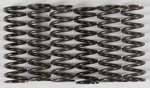 Hinson Temp Clutch Spring Kit For Yamaha Wr Yz Yfz Raptor New. Price: $78.86.