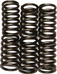 Ebc Clutch Spring Kit CSK88 New. Price: $12.98.
