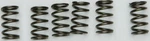 Ebc CSK130 Clutch Springs New. Price: $22.29.