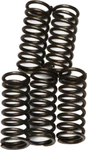 Ebc Clutch Spring Kit CSK66 New. Price: $12.98.