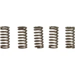 Ebc Csk Clutch Spring Kit Yamaha Fzr 400 Motorcycle (1988-1990) New. Price: $18.32.