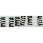 Ebc Brakes Clutch Springs CSK130 New. Price: $26.96.