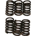 Ebc Brakes Clutch Springs CSK23 New. Price: $18.30.