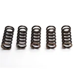 Ebc Clutch Spring Set (5 Pcs) Honda Cbr 600 Ra 2009 - 2019 New. Price: $24.50.