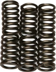 Ebc Clutch Spring Kit CSK88 New. Price: $13.25.