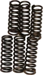 Ebc Clutch Spring Set CSK37 New. Price: $20.90.