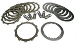 Arctic Cat Dvx 400, 2007-2008, Clutch Kit Discs, Plates & Springs New. Price: $47.99.