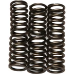 Ebc Brakes Clutch Springs CSK88 New. Price: $26.96.
