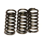 Ebc Csk Clutch Spring Kit Kawasaki Ex 300F Ninja Motorcycle (2013-2016) New. Price: $34.59.