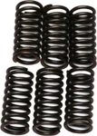 Ebc Clutch Springs Part# CSK24 New. Price: $27.91.