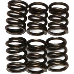 Ebc Csk Clutch Spring Kit Suzuki Gsx-r 1300 Hayabusa Motorcycle (1999-2007) New. Price: $18.32.