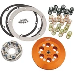 Barnett 618-30-33806 Scorpion Low-profile Lock-up Pressure Plates New. Price: $390.59.