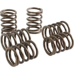 Koso North America - FT623001 Clutch Spring Set New. Price: $44.95.