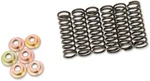 Barnett Clutch Springs #505-42-06031 For Yamaha FZS1000 FZ1/YZF-R1/FZ8 New. Price: $37.54.
