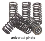 Ebc Brakes CSK90 Clutch Spring Kit New. Price: $22.69.