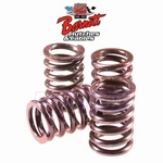 Barnett Clutch Spring Kit For 1993-2008 Honda TRX300EX Sportrax Engine Mb New. Price: $31.58.