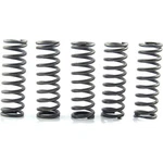Ebc Csk Clutch Spring Kit Kawasaki 1400 Ninja ZX-14R Motorcycle (2008-2008) New. Price: $18.32.
