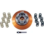 Barnett 618-30-23806 Scorpion Low-profile Lock-up Pressure Plates New. Price: $390.59.