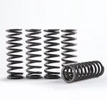 Hinson Racing Hi-temp Clutch Spring Kit CS130-6-8602 1131-3662 151-6323 New. Price: $69.99.