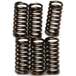Ebc Csk Clutch Spring Kit Kawasaki KLX250S Motorcycle (2009-2010) New. Price: $28.84.
