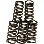 Ebc Csk Clutch Spring Kit Honda CRF250X Motorcycle (2004-2009) New. Price: $18.32.