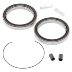 Quadboss One Way Clutch Bearing Kit. Price: $42.23.