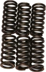 Ebc - CSK11 Clutch Kit 10% Stiffer Than Stock Springs New. Price: $17.44.