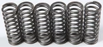 Ebc - CSK119 Clutch Kit 10% Stiffer Than Stock Springs New. Price: $17.44.