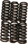 Ebc Clutch Spring Kit CSK11 New. Price: $12.33.
