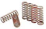 Hinson Clutch Components CS216-6-0315 Hi-temp Spring Kit New. Price: $84.11.