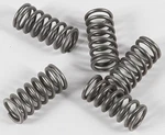 Ebc - CSK77 Clutch Kit 10% Stiffer Than Stock Springs New. Price: $17.44.