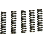 Ebc Csk Clutch Spring Kit Kawasaki 900 Ninja ZX-9R Motorcycle (2000-2003) New. Price: $18.32.