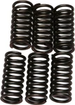 Ebc Clutch Spring Kit CSK24 New. Price: $12.94.