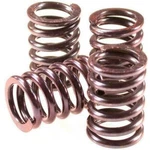 Barnett Clutch Springs Ducati Monster 620 Dark 695 696 796 S2R 800 501-42-06111 New. Price: $29.99.
