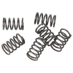 Ebc CSK18 Clutch Spring Set New. Price: $19.82.