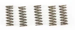 Ebc Clutch Spring Kit - CSK249 New. Price: $31.75.
