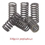 For Ebc Polska Sp. Z O.o. CSK121 Engine Clutch Springs. Neu. Price: $24.28.