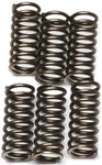 Ebc Clutch Spring Kit CSK120 New. Price: $12.98.
