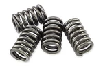 Ebc Clutch Spring Kit CSK141 New. Price: $13.26.