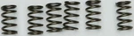 Ebc Clutch Spring Kit CSK130 New. Price: $12.94.