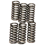 Ebc CSK120 Clutch Spring Set New. Price: $19.82.